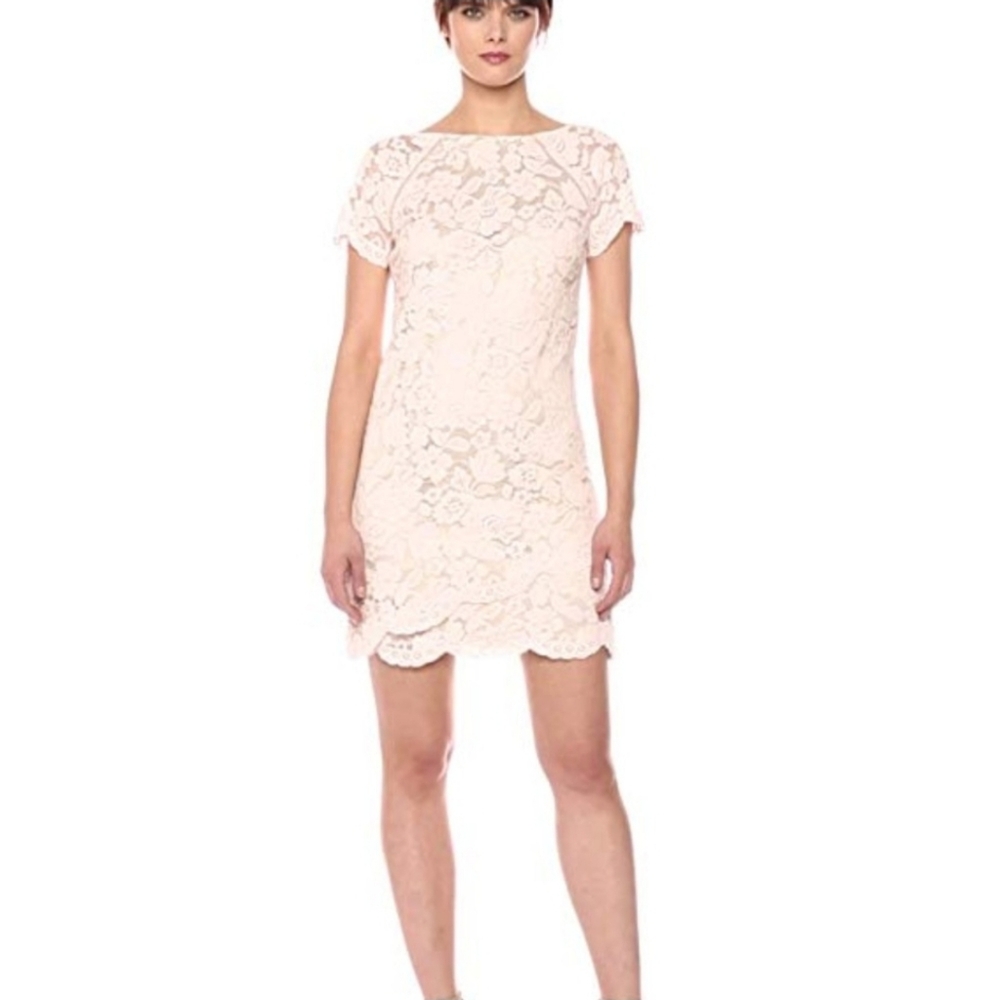 Vince Camuto Blush Pink Lace Short Sleeve Dress Size 4 EUC